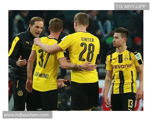 科隆与霍芬海姆对决前瞻分析及最新赛事动态解读